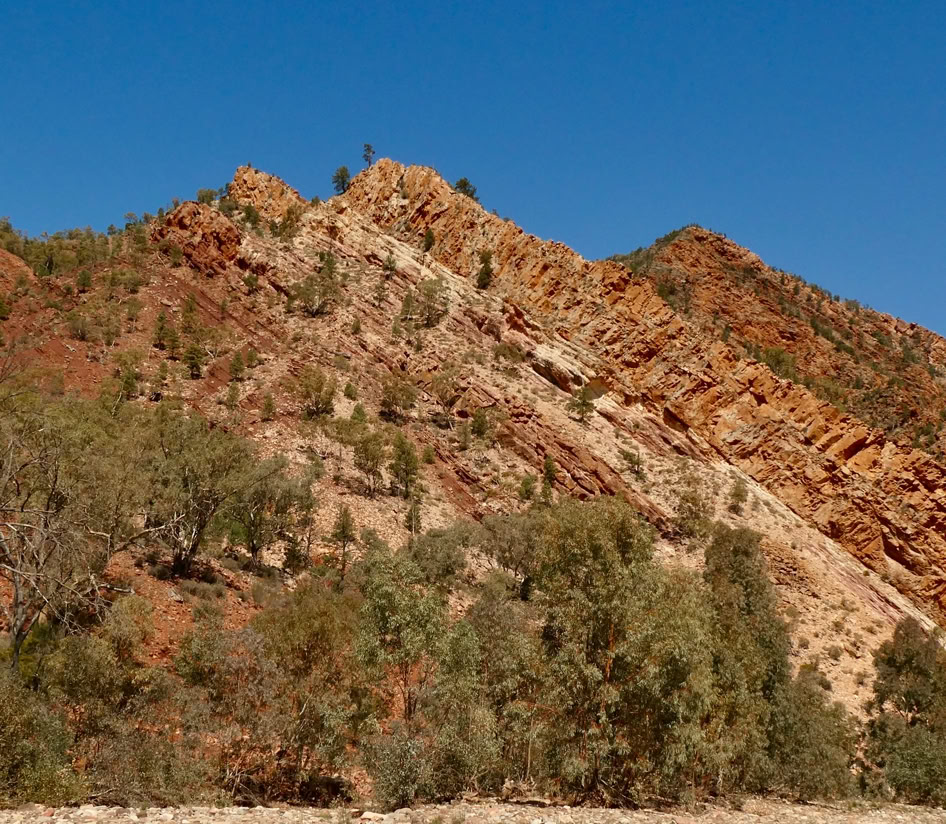 Flinders Ranges Day Tours Brachina Gorge