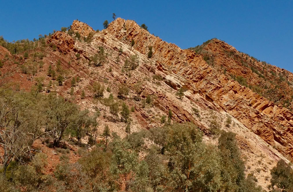 Flinders Ranges Tours from Adelaide brachina gorge