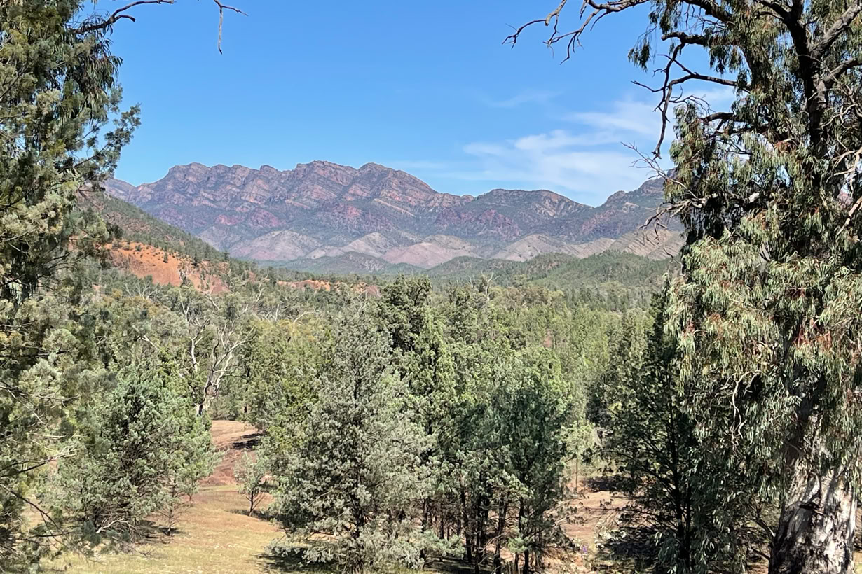Flinders Ranges Ediacaran Fossil tour Flinders Ranges ediacaran Fossil tour 3 days