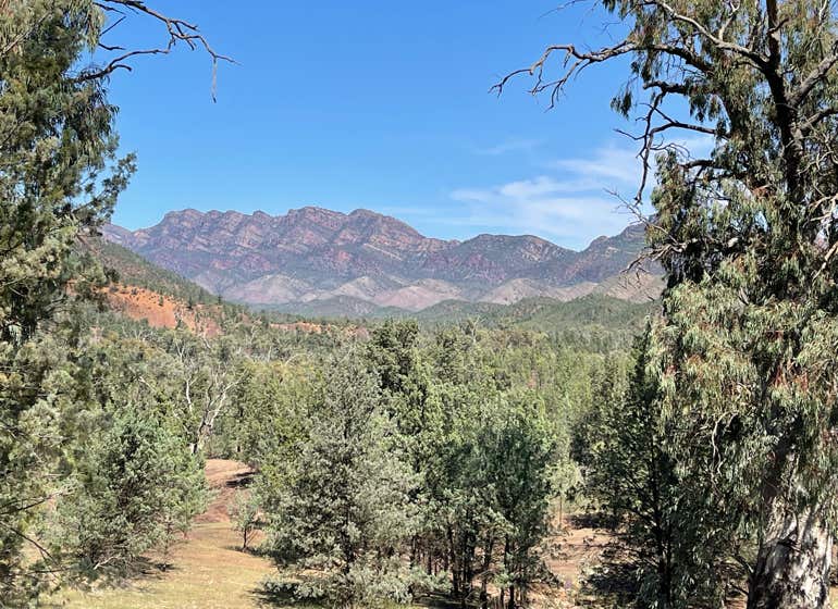 Flinders Ranges ediacaran Fossil tour 3 days
